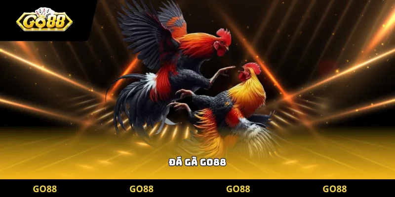 đá gà go88